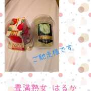 ヒメ日記 2026/04/11 01:36 投稿 はるか 豊満熟女