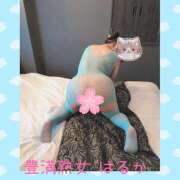 ヒメ日記 2026/05/20 01:28 投稿 はるか 豊満熟女