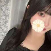 ヒメ日記 2025/08/17 02:14 投稿 ゆき One More奥様　蒲田店