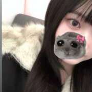 ヒメ日記 2026/02/25 02:54 投稿 ゆき One More奥様　蒲田店