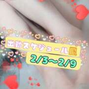 ヒメ日記 2025/02/03 23:56 投稿 みのり ラズベリー(エステ)