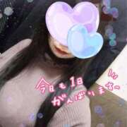 ヒメ日記 2025/05/17 20:40 投稿 みのり ラズベリー(エステ)