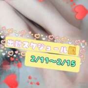 ヒメ日記 2026/02/11 01:48 投稿 みのり ラズベリー(エステ)