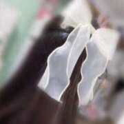 ヒメ日記 2025/06/05 11:45 投稿 ゆあ ルネッサンス