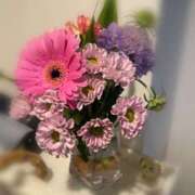 ヒメ日記 2025/06/10 11:45 投稿 ゆあ ルネッサンス