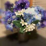 ヒメ日記 2025/06/15 12:02 投稿 ゆあ ルネッサンス