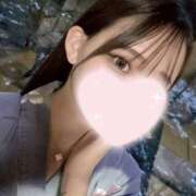 ヒメ日記 2025/04/08 15:25 投稿 上戸　りか つくば風俗エキスプレス   ヌキ坂46