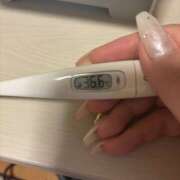 ヒメ日記 2025/05/20 15:20 投稿 上戸　りか つくば風俗エキスプレス   ヌキ坂46