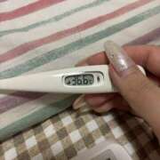 ヒメ日記 2025/06/22 15:14 投稿 上戸　りか つくば風俗エキスプレス   ヌキ坂46