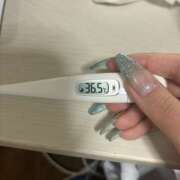 ヒメ日記 2025/09/29 15:20 投稿 上戸　りか つくば風俗エキスプレス   ヌキ坂46