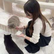 ヒメ日記 2025/10/07 15:32 投稿 上戸　りか つくば風俗エキスプレス   ヌキ坂46