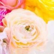 ヒメ日記 2025/01/17 19:18 投稿 ゆいか ぷよステーション 蒲田店