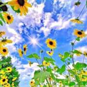 ヒメ日記 2025/06/14 10:55 投稿 あみ 人妻倶楽部内緒の関係 春日部店