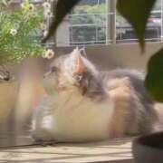 ヒメ日記 2026/03/16 16:25 投稿 あみ 人妻倶楽部内緒の関係 春日部店