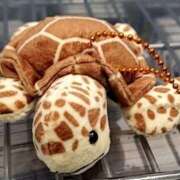 ヒメ日記 2025/07/06 19:58 投稿 じゅんこ 熟女の風俗最終章 高崎店