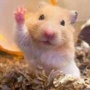 ヒメ日記 2025/08/14 15:08 投稿 じゅんこ 熟女の風俗最終章 高崎店