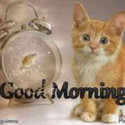 ヒメ日記 2025/08/20 09:48 投稿 じゅんこ 熟女の風俗最終章 高崎店