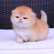 ヒメ日記 2025/09/03 21:48 投稿 じゅんこ 熟女の風俗最終章 高崎店