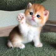 ヒメ日記 2025/09/07 20:18 投稿 じゅんこ 熟女の風俗最終章 高崎店