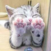 ヒメ日記 2025/09/20 22:58 投稿 じゅんこ 熟女の風俗最終章 高崎店