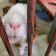 ヒメ日記 2025/10/05 19:58 投稿 じゅんこ 熟女の風俗最終章 高崎店