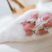 ヒメ日記 2025/10/08 21:42 投稿 じゅんこ 熟女の風俗最終章 高崎店