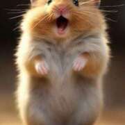 ヒメ日記 2025/10/14 20:18 投稿 じゅんこ 熟女の風俗最終章 高崎店