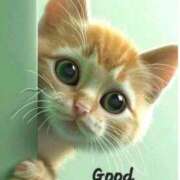 ヒメ日記 2025/11/16 08:09 投稿 じゅんこ 熟女の風俗最終章 高崎店