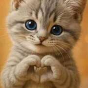 ヒメ日記 2025/11/18 21:08 投稿 じゅんこ 熟女の風俗最終章 高崎店