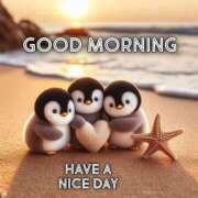 ヒメ日記 2026/01/23 08:31 投稿 じゅんこ 熟女の風俗最終章 高崎店