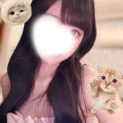 ゆか 会えたらうれしいな...♡ プレイボーイ(八王子)