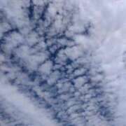 ヒメ日記 2024/12/17 10:48 投稿 あおば 熟女家 堺東店