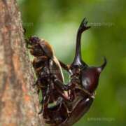 ヒメ日記 2025/07/17 09:47 投稿 あおば 熟女家 堺東店