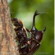 ヒメ日記 2025/07/22 08:37 投稿 あおば 熟女家 堺東店