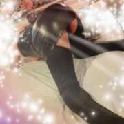 ヒメ日記 2025/08/28 10:17 投稿 あおば 熟女家 堺東店