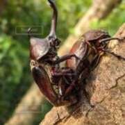 ヒメ日記 2025/10/11 09:30 投稿 あおば 熟女家 堺東店