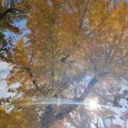 ヒメ日記 2025/12/04 11:57 投稿 あおば 熟女家 堺東店