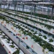 ヒメ日記 2026/03/17 10:17 投稿 あおば 熟女家 堺東店