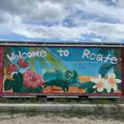 ヒメ日記 2025/11/13 02:29 投稿 るな ミルキーウェイ（近江八幡）