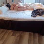 ヒメ日記 2025/05/12 22:01 投稿 りの 北九州人妻倶楽部（三十路、四十路、五十路）