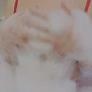 ヒメ日記 2025/07/30 21:39 投稿 りの 北九州人妻倶楽部（三十路、四十路、五十路）