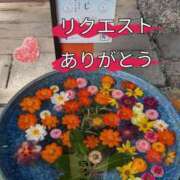 瑠衣 リクエストありがとうございます 昼顔妻 五反田店