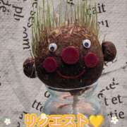 瑠衣 リクエストありがとうございます 昼顔妻 五反田店