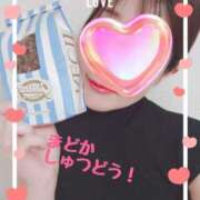 ヒメ日記 2025/09/06 09:12 投稿 まどか 千葉人妻花壇