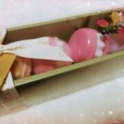 ヒメ日記 2025/12/29 08:03 投稿 まどか 千葉人妻花壇