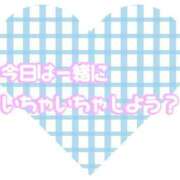 こずえ 今日は… 鹿児島ちゃんこ 天文館店