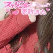 ヒメ日記 2025/02/17 23:30 投稿 みおな 京都祇園・南インターちゃんこ