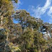 ヒメ日記 2025/02/23 17:45 投稿 みおな 京都祇園・南インターちゃんこ