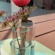 ヒメ日記 2025/03/31 22:58 投稿 みおな 京都祇園・南インターちゃんこ