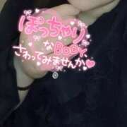 ヒメ日記 2025/04/19 20:30 投稿 みおな 京都祇園・南インターちゃんこ